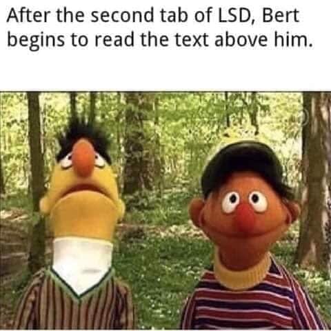 After the second tab of LSD