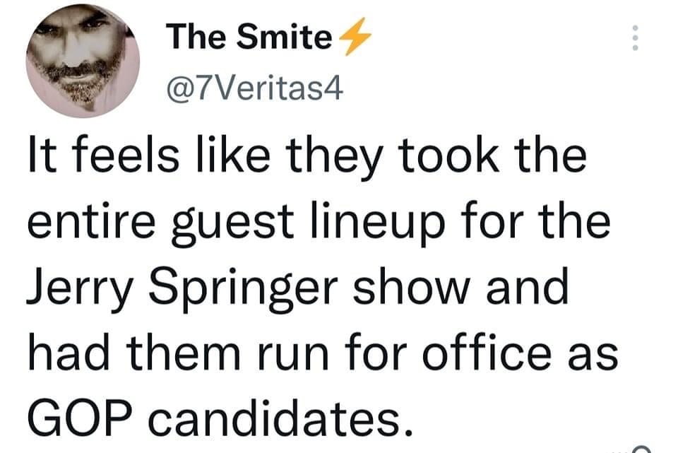 It feels like they took the entire guest lineup for the Jerry Springer show and had them run for office as GOP candidates.
