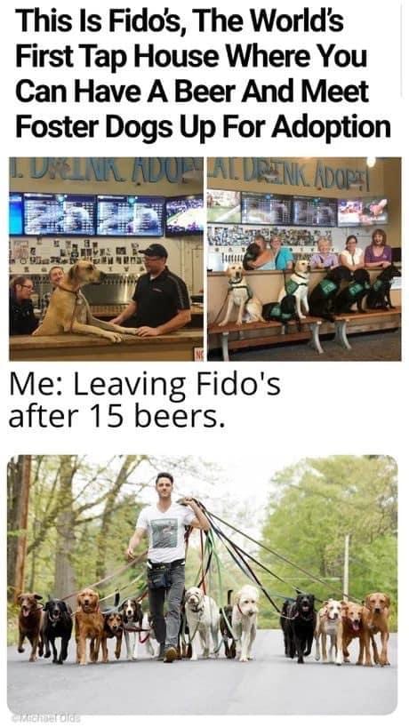 This Is Fido's, The World's First Tap House Where You Can Have A Beer And Meet Foster Dogs Up For Adoption Me: Leaving Fido's after 15 beers. (with a small herd of newly adopted dogs!)