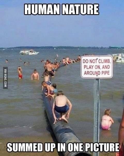 Human Nature Summed Up in One Picture