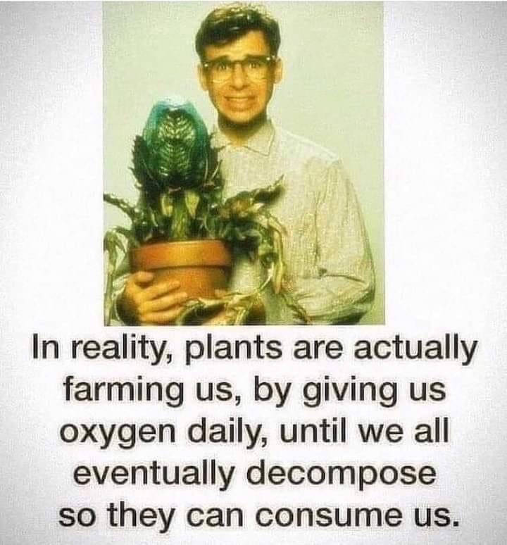 Little Shop of Horrors - Plants Farming Us