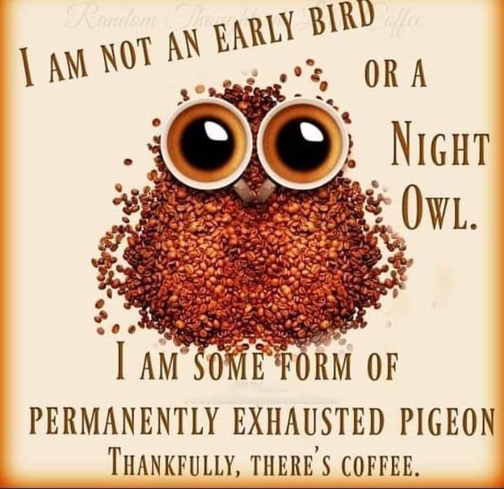 Permanently Exhausted Pigeon Thankful for Coffee