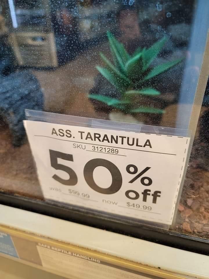 ASS. TARANTULA SKU 3121289 50 % 599.99 off now $49.99
