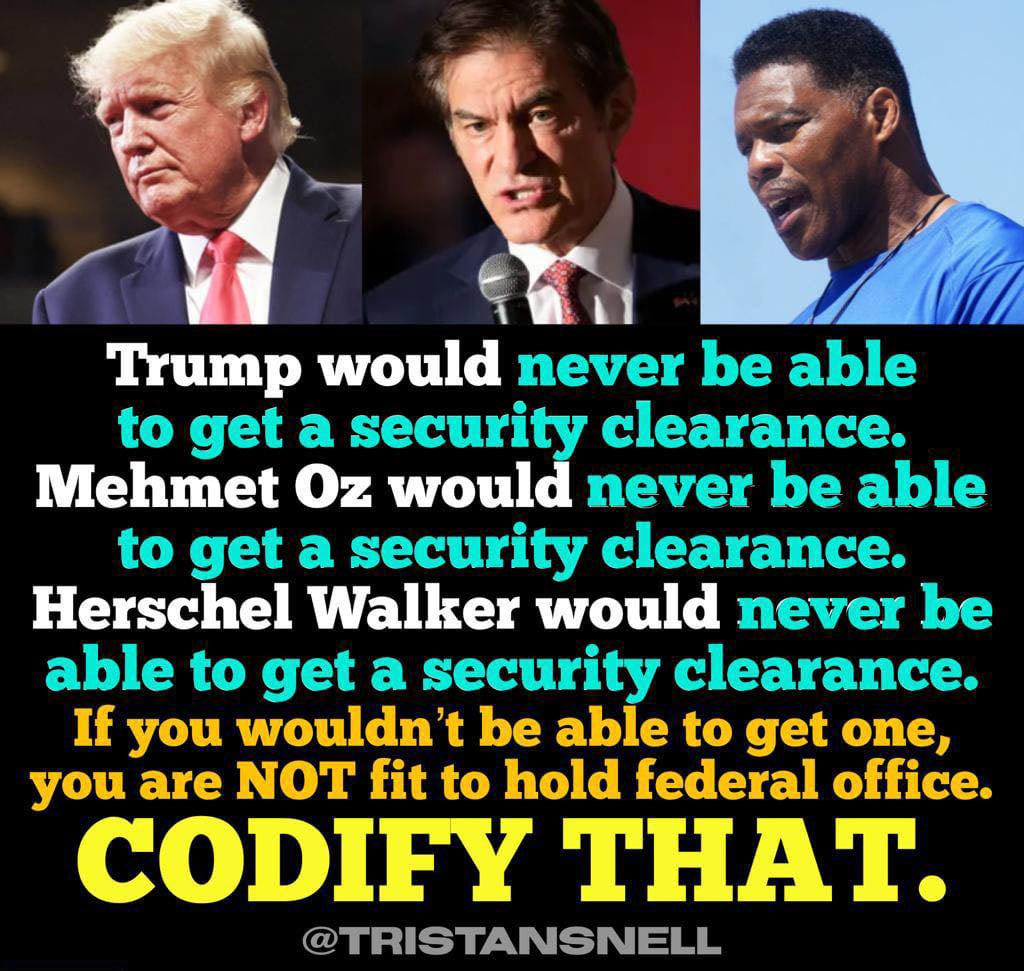 Trump would never be able to get a security clearance. Mehmet Oz would never be able to get a security clearance. Herschel Walker would never be able to get a security clearance. If you wouldn't be able to get one, you are NOT fit to hold federal office.