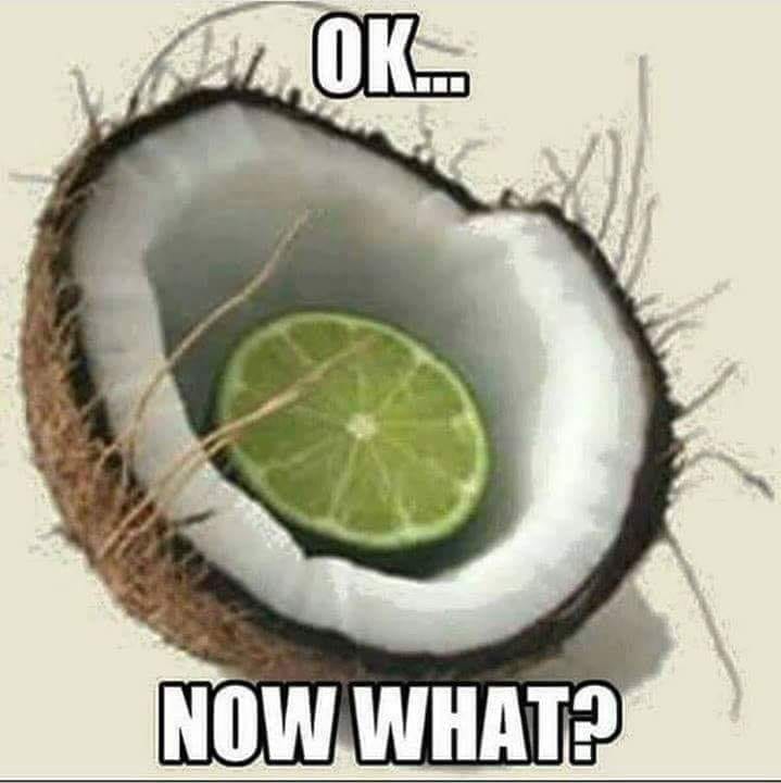 The Lime is in The Coconut, Now What?