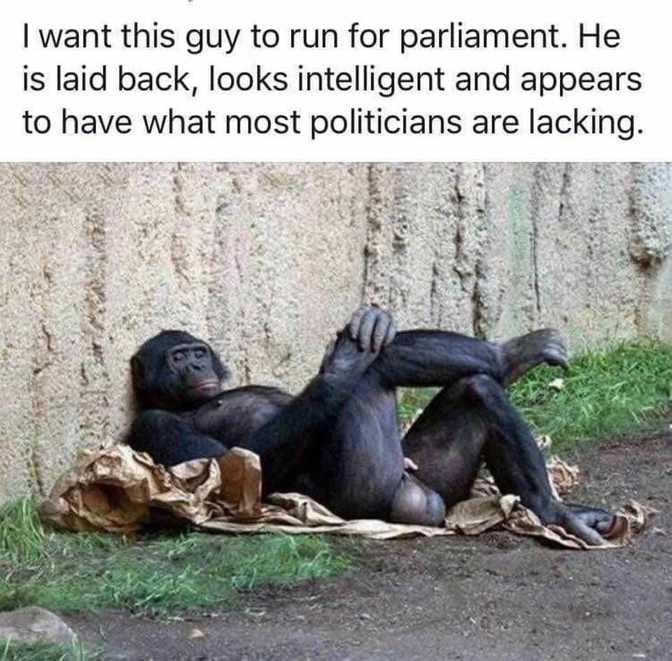 I want this guy to run for parliament. He is laid back, looks intelligent and appears to have what most politicians are lacking.