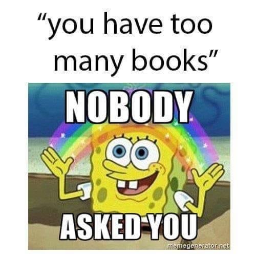 When Someone Claims You Have Too Many Books