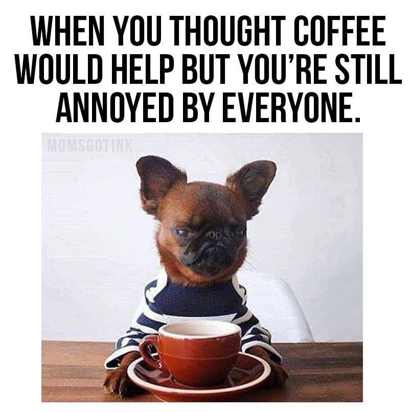 When You Thought Coffee Would Help