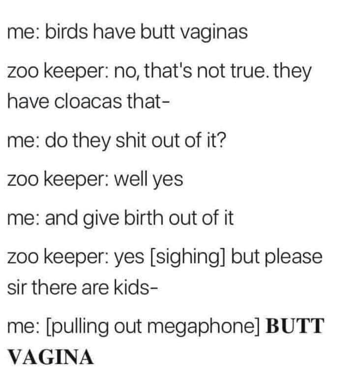 Birds Have Butt Vaginas