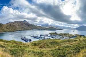 Climate Change Decimates Alaska Snow Crab Fishery