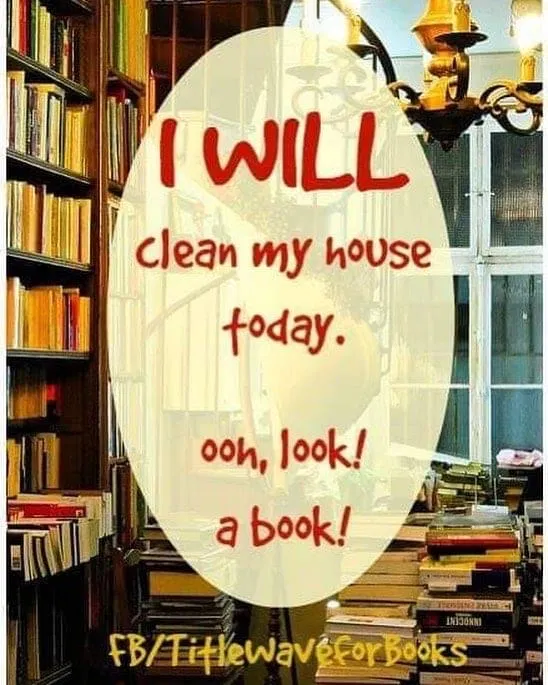 I will clean my house today. Ooh. look! A book!
