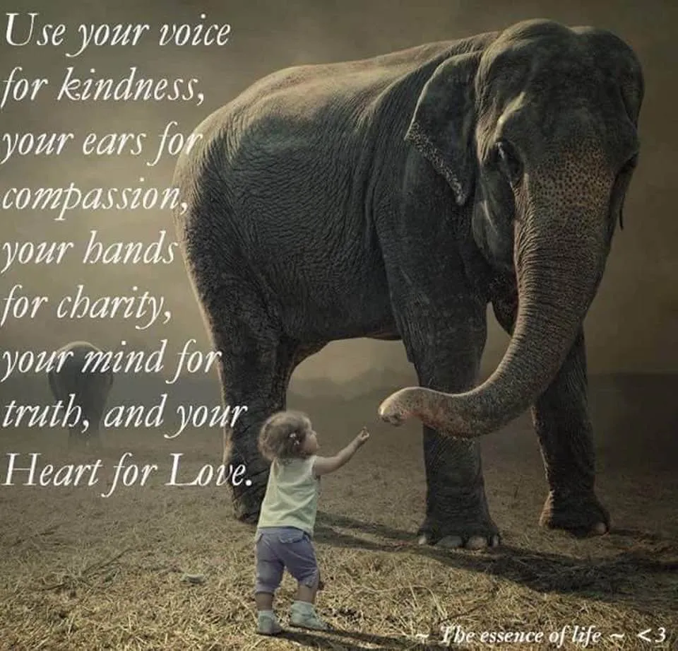 Kindness, Compassion, Charity, Truth, and Love